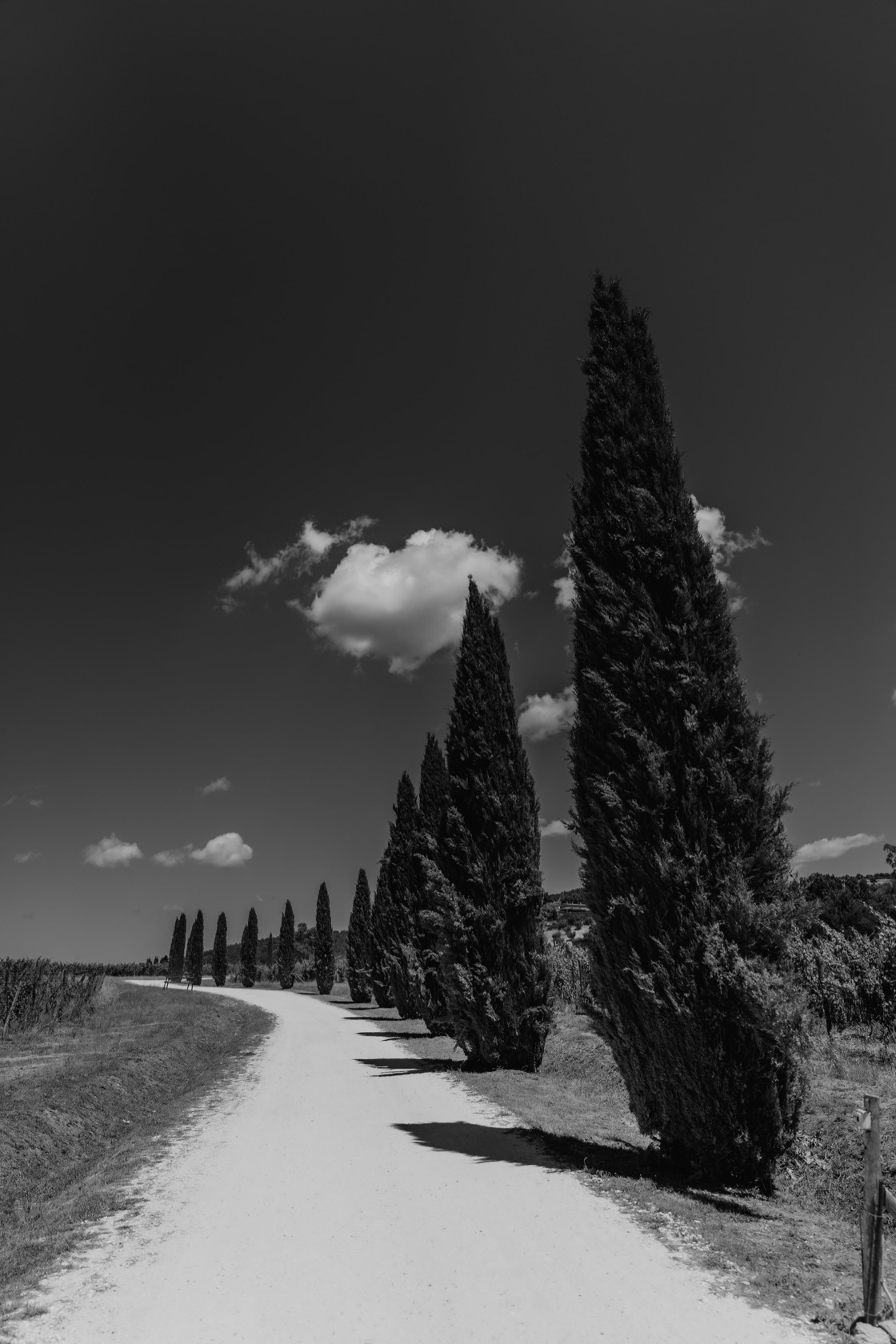 Conti di San Bonifacio wedding photography