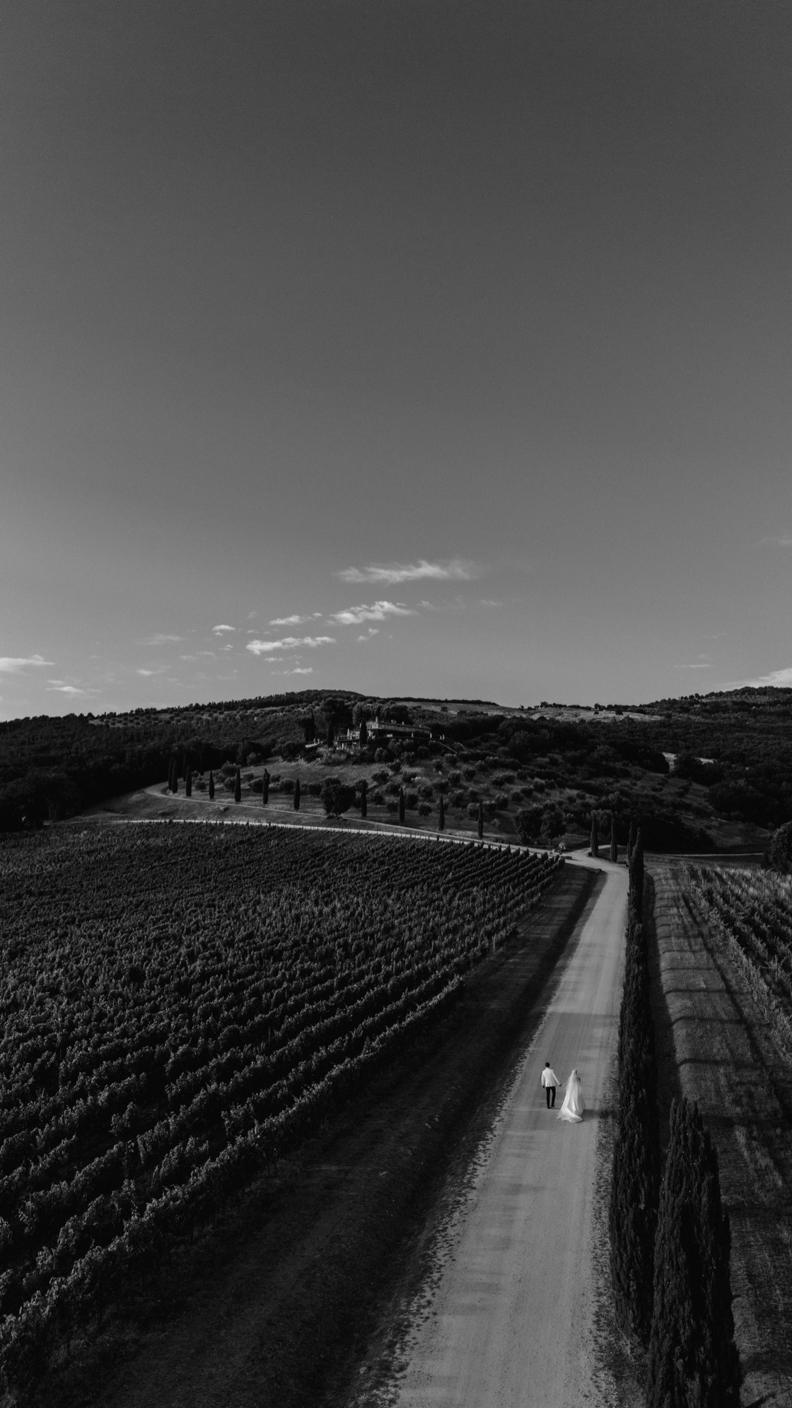 Aerial black and white photograph of Fern and James walking the straight cypress-lined road at Conti di San Bonifacio, hilltop villa in the distance